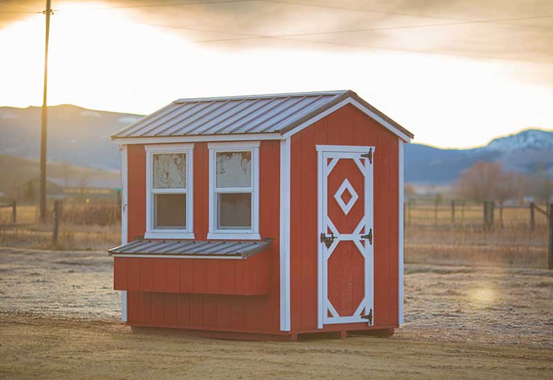 chicken-coop