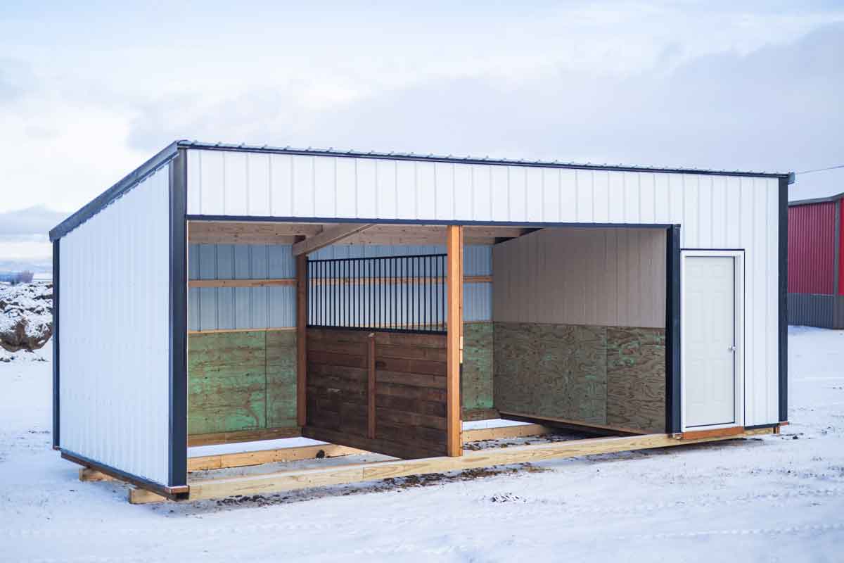 Luke_January(2020)-0002